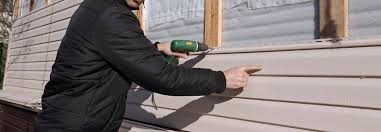 Best Siding Painting and Refinishing  in Denair, CA